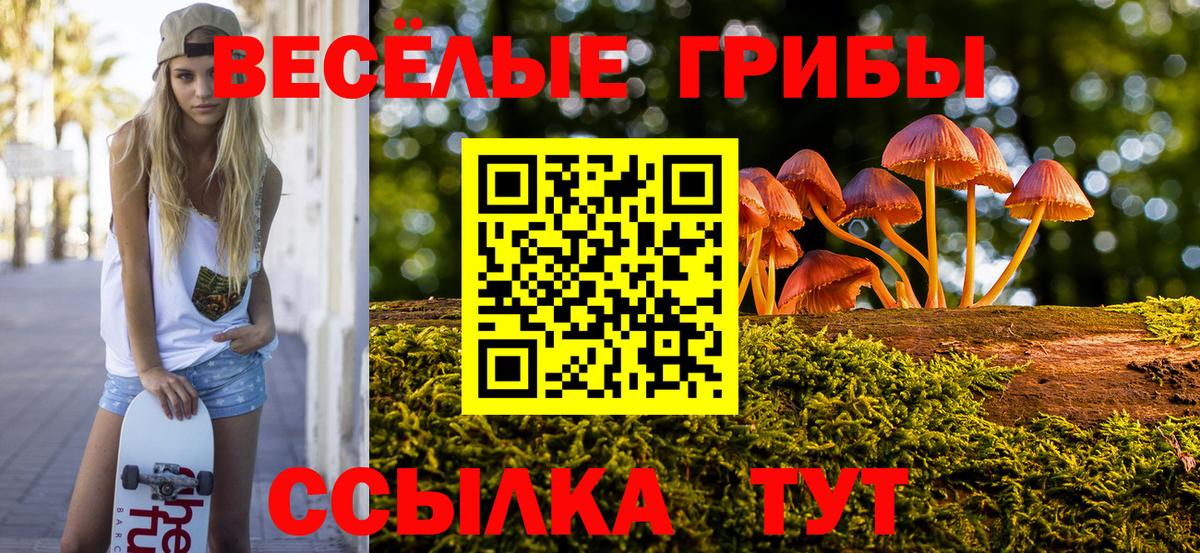 Псилоцибиновые грибы MAGIC MUSHROOMS  купить наркотик  Надым  Вход с VPN 
